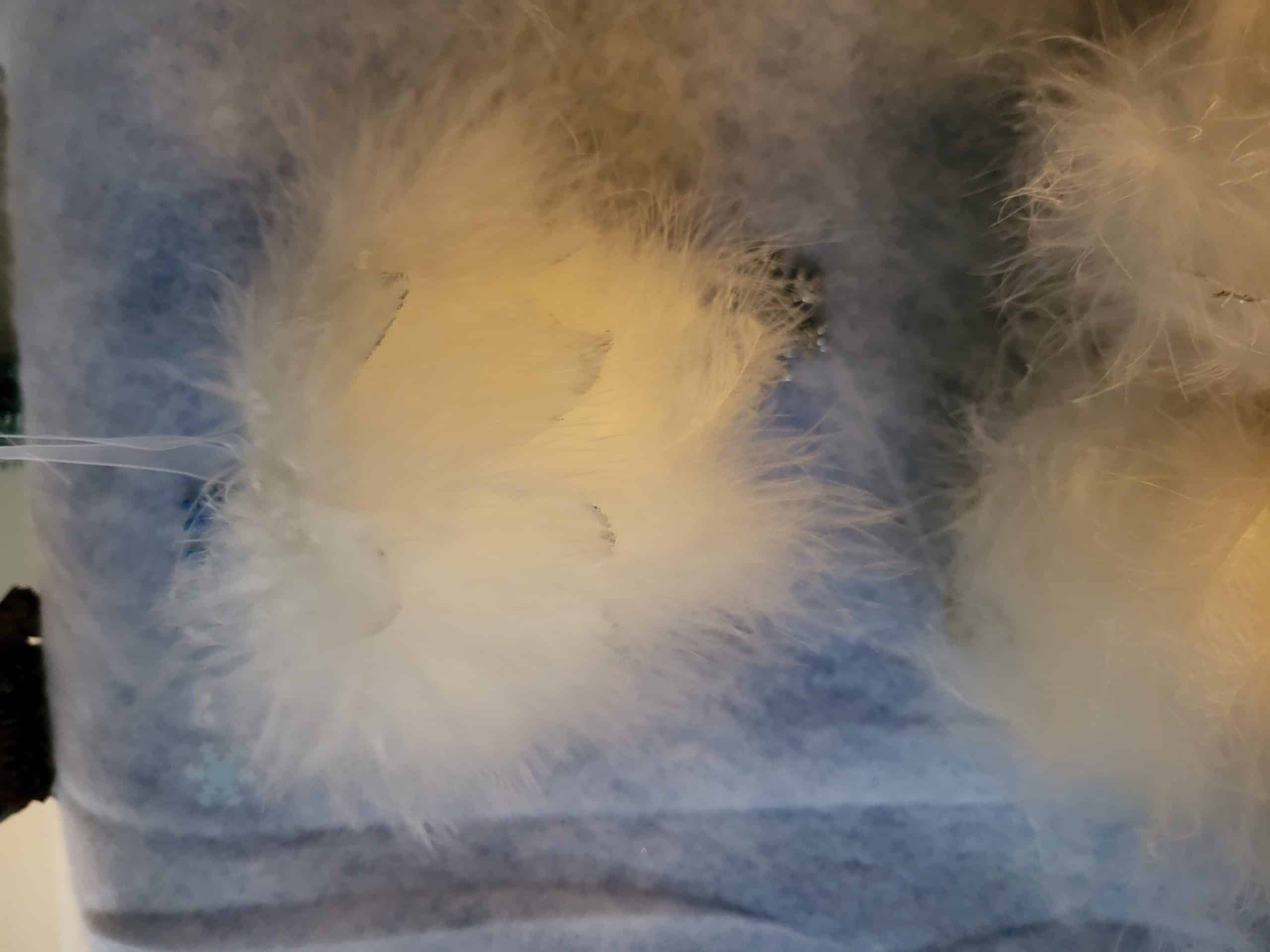Fluffy Feather Bauble