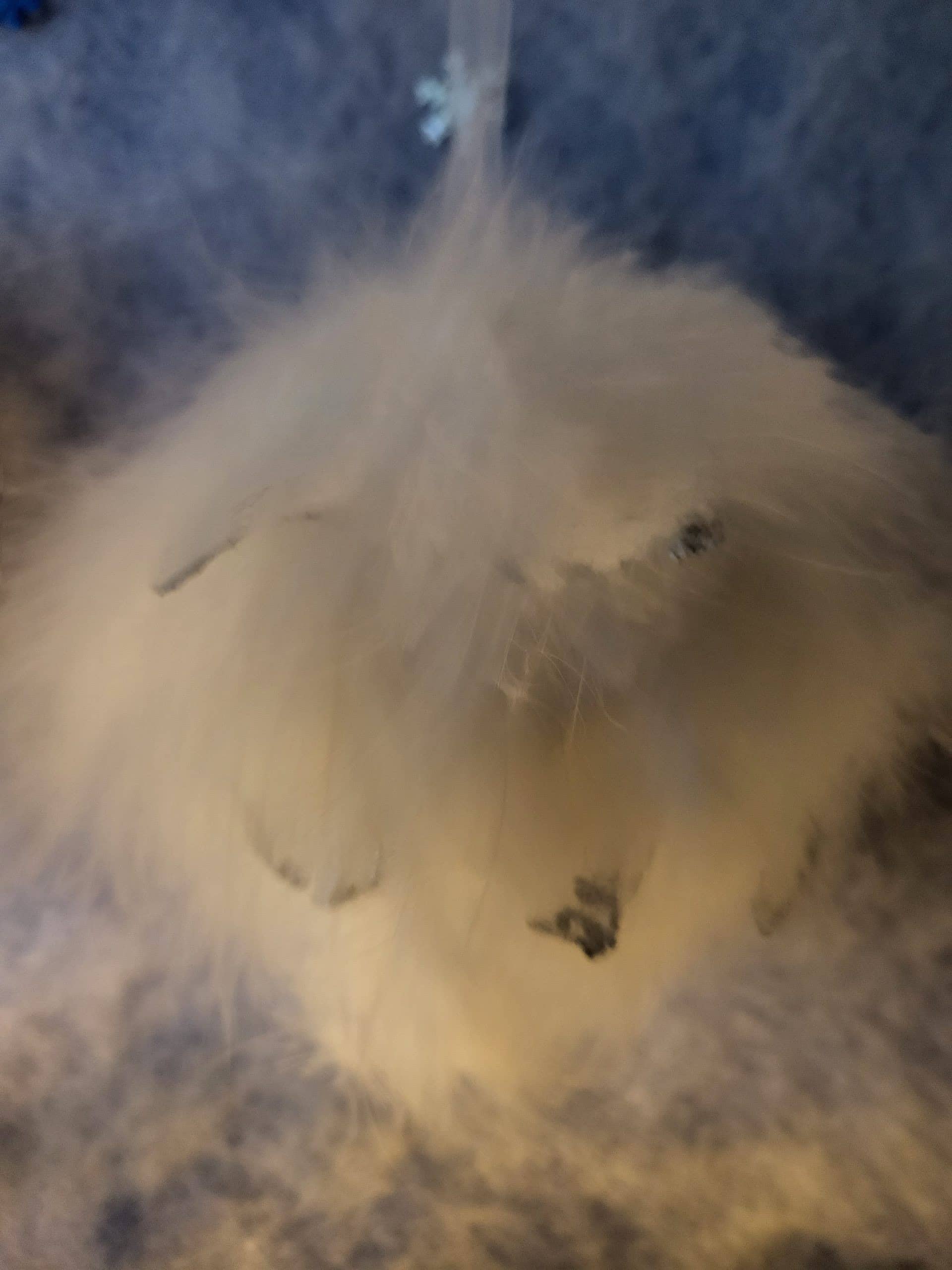 Fluffy Feather Bauble