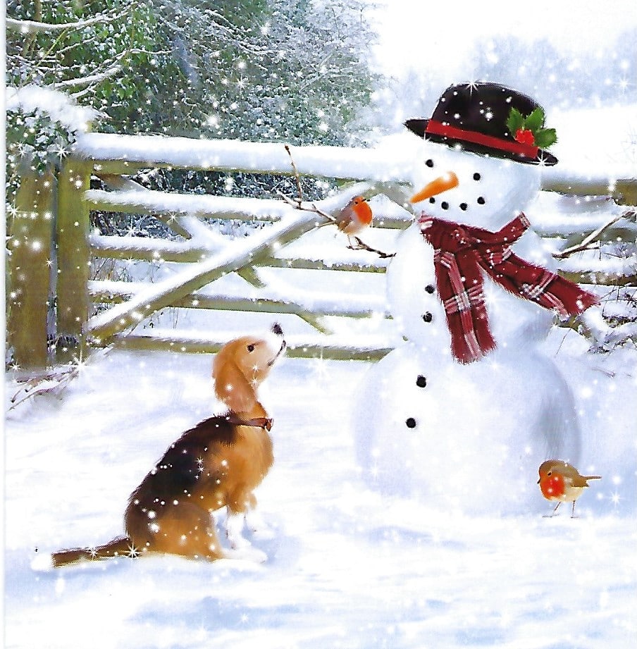 Bright Bethlehem - Christmas Card