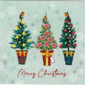 Christmas Trees - Christmas Card